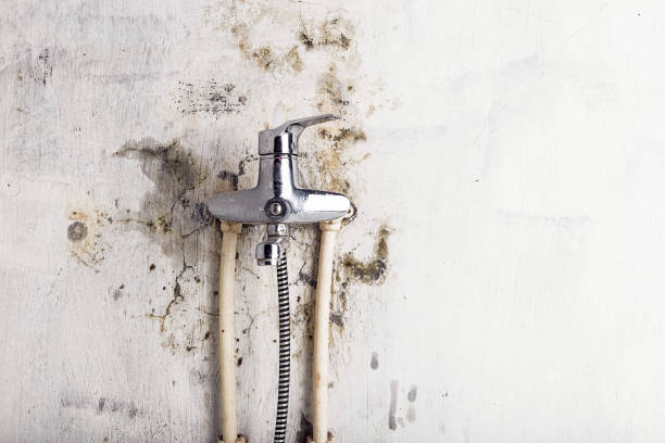 Certified Mold Removal in Indian Mountain Lake, PA