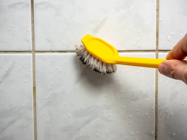 Best Certified Mold Removal  in Indian Mountain Lake, PA