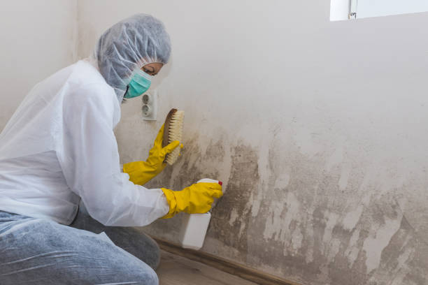 Attic Mold Removal in Indian Mountain Lake, PA