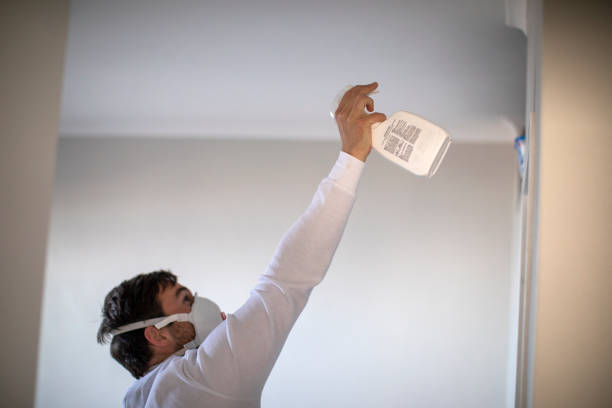 Best Home Mold Removal  in Indian Mountain Lake, PA