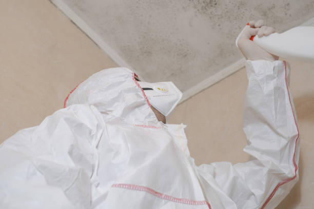 Best Local Mold Removal Service  in Indian Mountain Lake, PA
