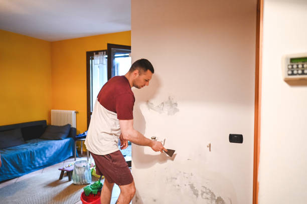 Best Commercial Mold Removal  in Indian Mountain Lake, PA